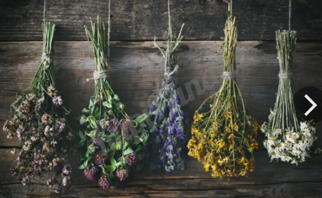 травяные сборы противопухолевые описторх паралич