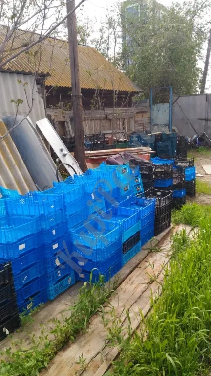 Пластиковые ящички "Мармитки" для овощей,зелени,раков и т.д.