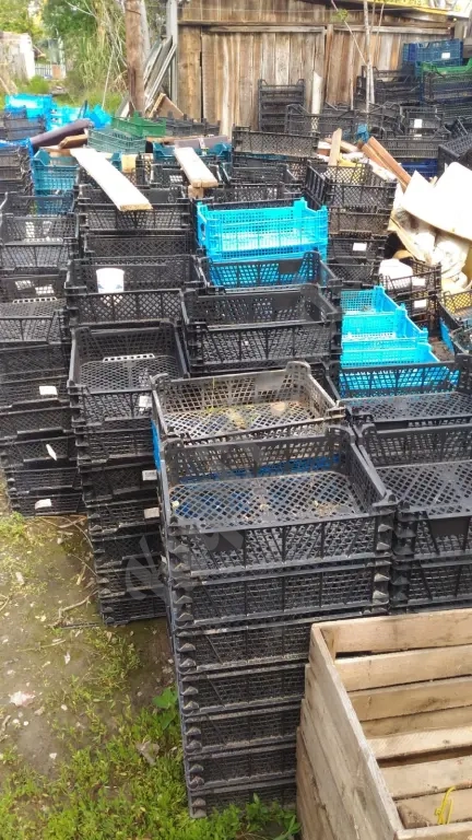 Пластиковые ящички "Мармитки" для овощей,зелени,раков и т.д.