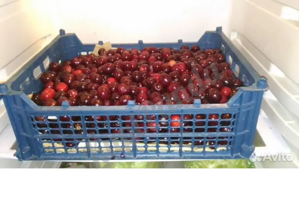 Пластиковые ящички "Мармитки" для овощей,зелени,раков и т.д.