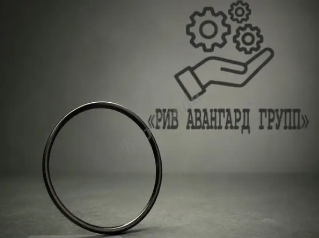Кольцо уплотнительное Schwing 10001052