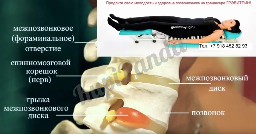 Тренажер для вытяжки позвоночника спины Грэвитрин-комфорт плюс Вибромассаж