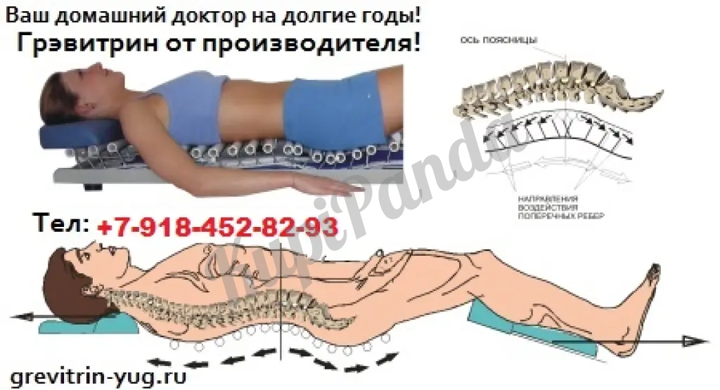 Тренажер "Грэвитрин-Комфорт плюс Вибро" купить для лечения позвоночника и массажа спины цена