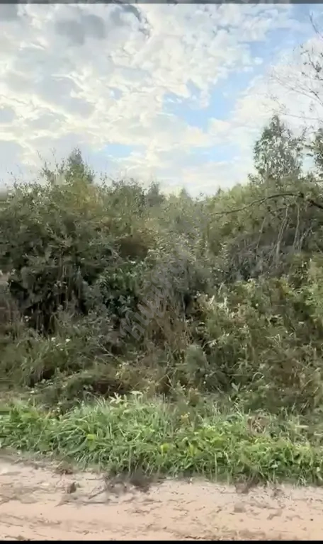 Продаю участок 20 соток