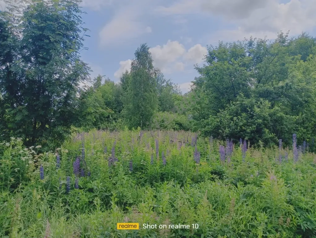 Продаю участок 20 соток