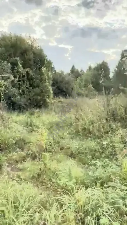 Продаю участок 20 соток