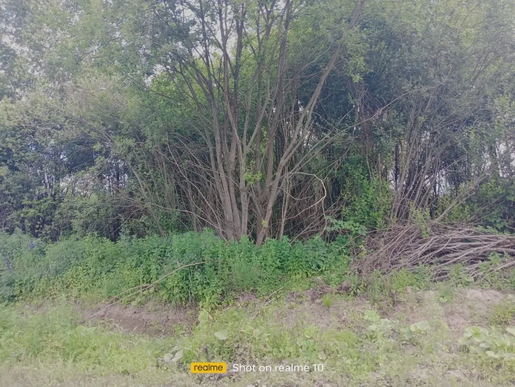 Продаю участок 20 соток