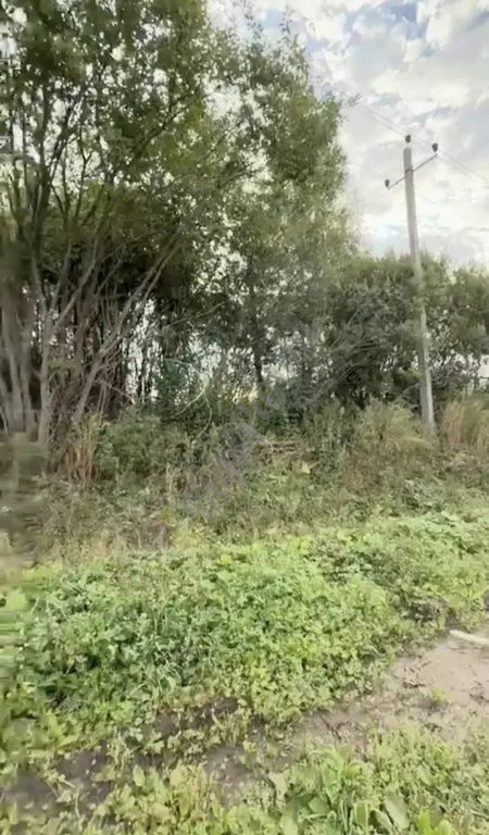 Продаю участок 20 соток