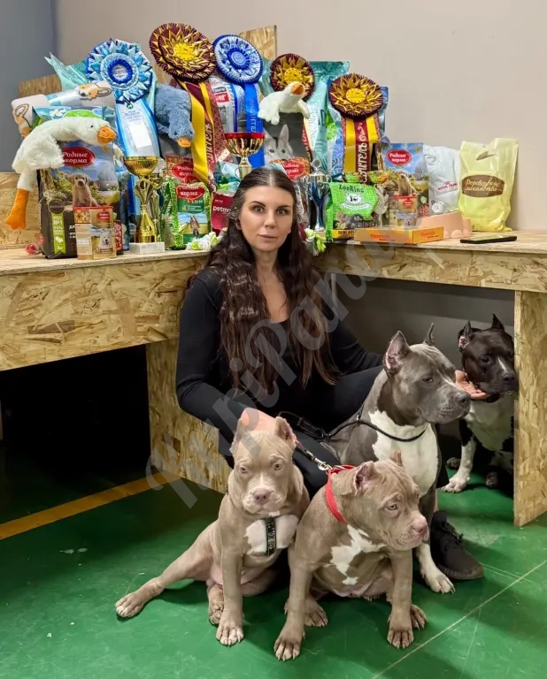 Лиловый триколор девочка Амбулли покет 7 месяцев