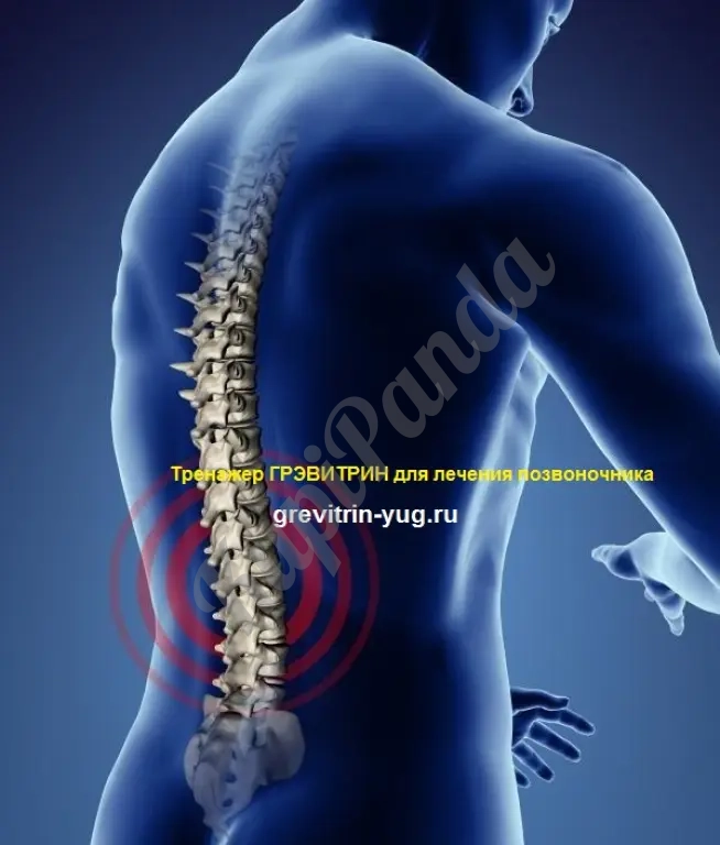 Тренажер "Грэвитрин-Комфорт плюс Вибромассаж ОРТО" купить для лечения позвоночника и массажа спины цена