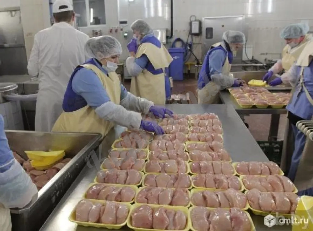 Упаковщик на птицефабрику вахта