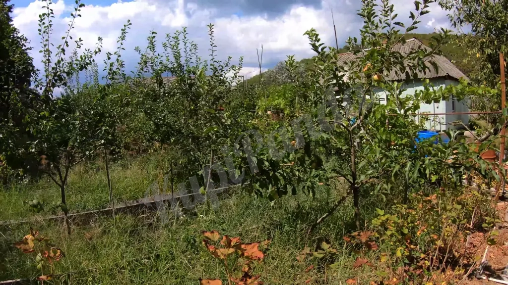 Участок в Пшаде ижс