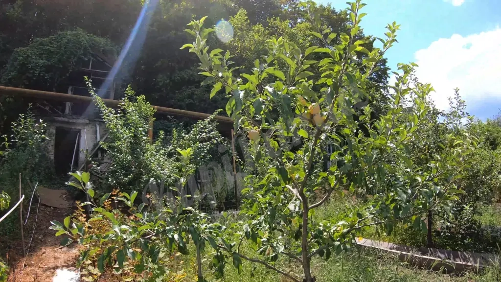 Дом с участком 5 сото около моря