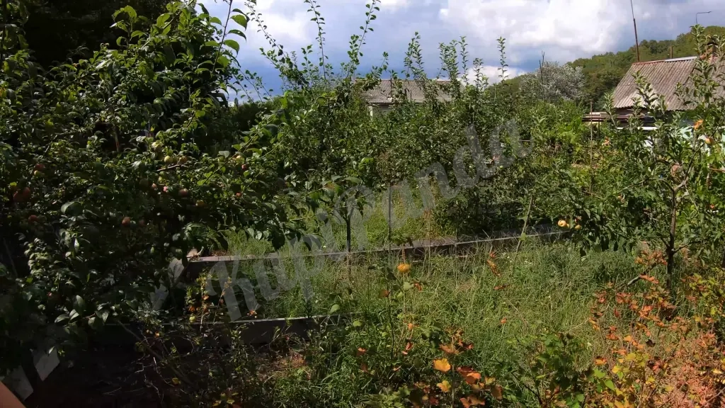 Дом с участком 5 сото около моря