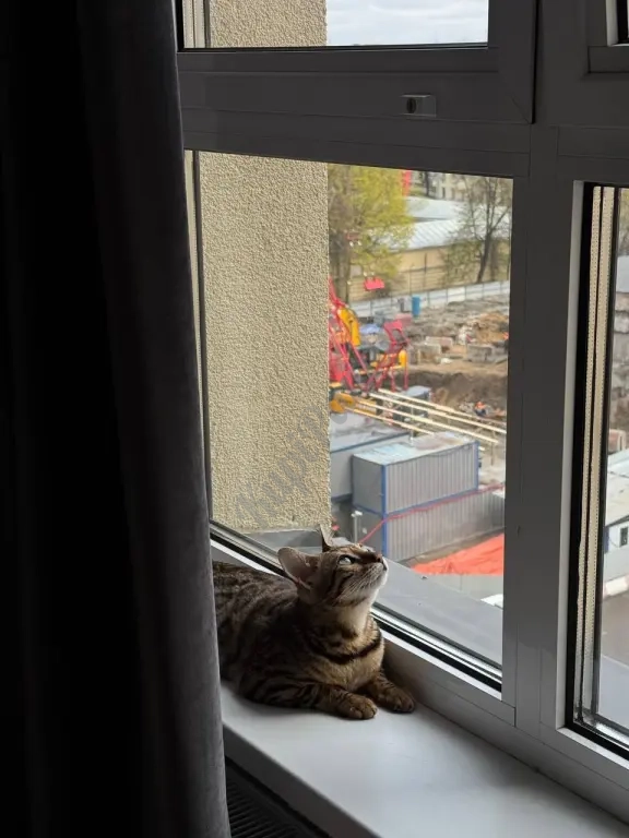 ОТДАМ БЕСПЛАТНО