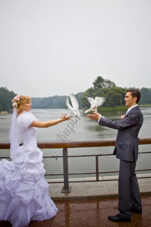 Выпуск Голубей .