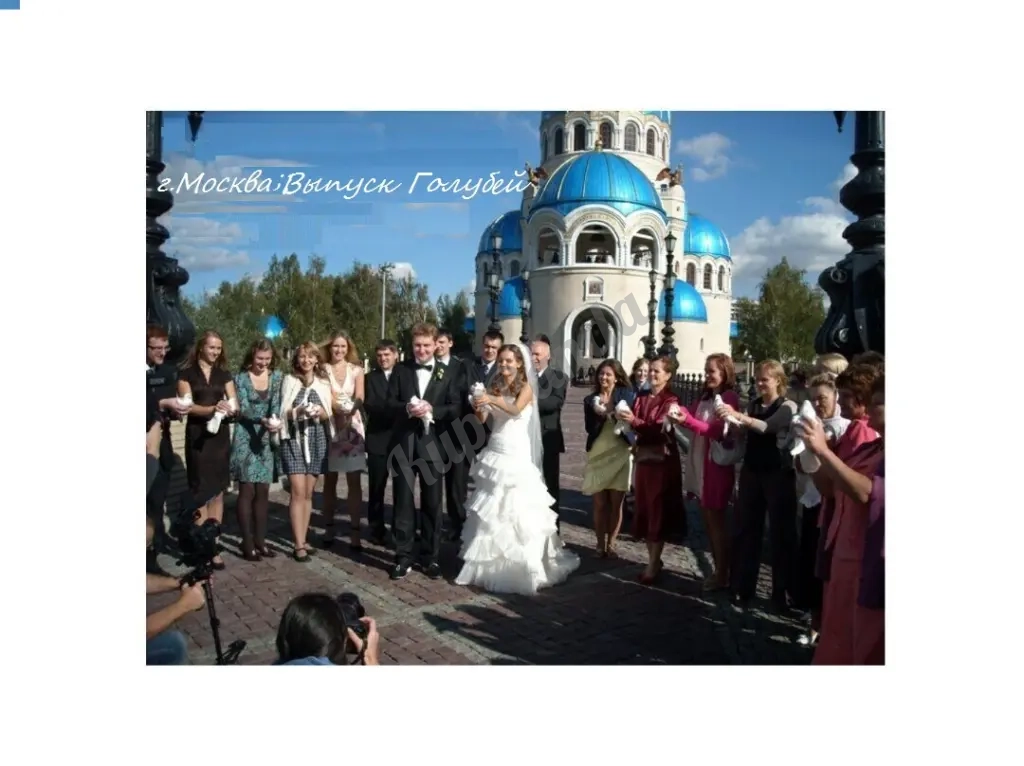 Выпуск Голубей .