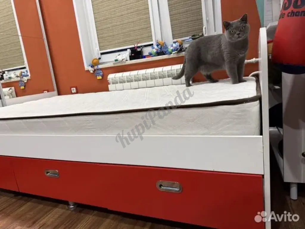 Кровать односпальная