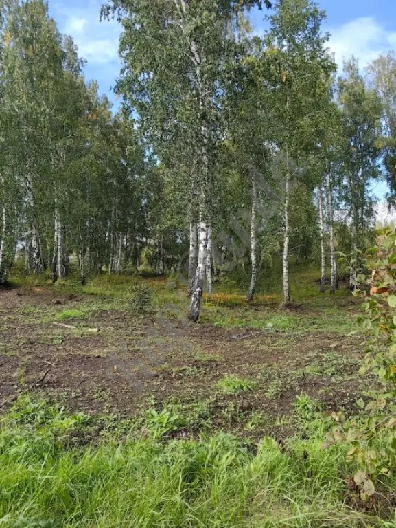 Производственная База 1, 1 Га