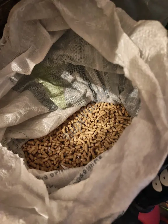 Отдам в приют для котиков