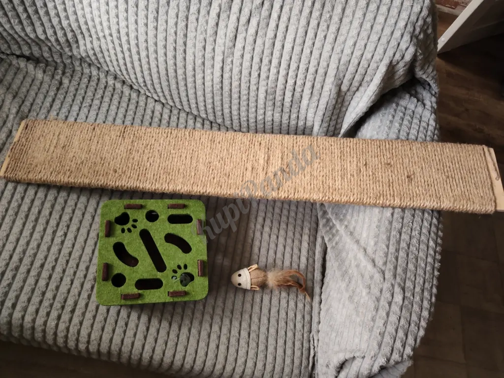 Отдам в приют для котиков
