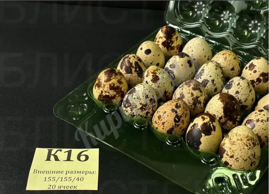 Упаковка для перепелиных яиц на 20 штук