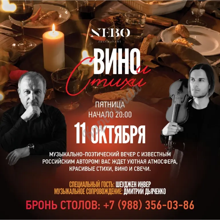 Мастер-класс и онлайн -консультации для начинающих поэтов