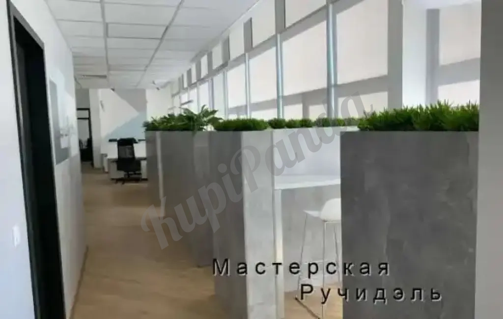 Кашпо-перегородка для офиса или кафе