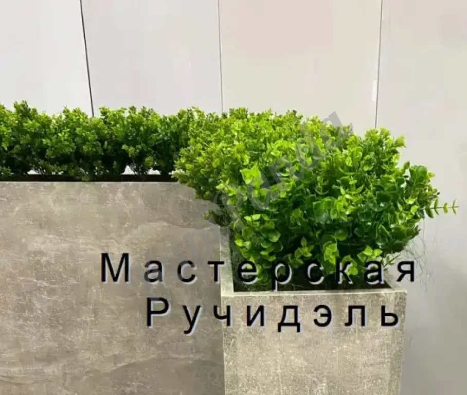 Кашпо-перегородка для офиса или кафе