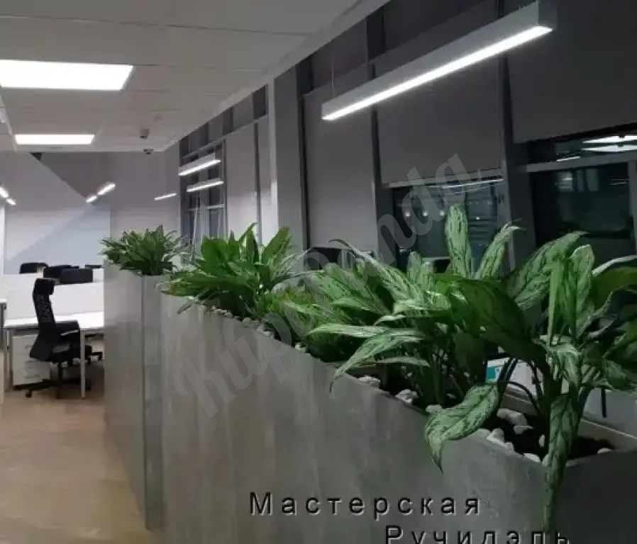 Кашпо-перегородка для офиса или кафе