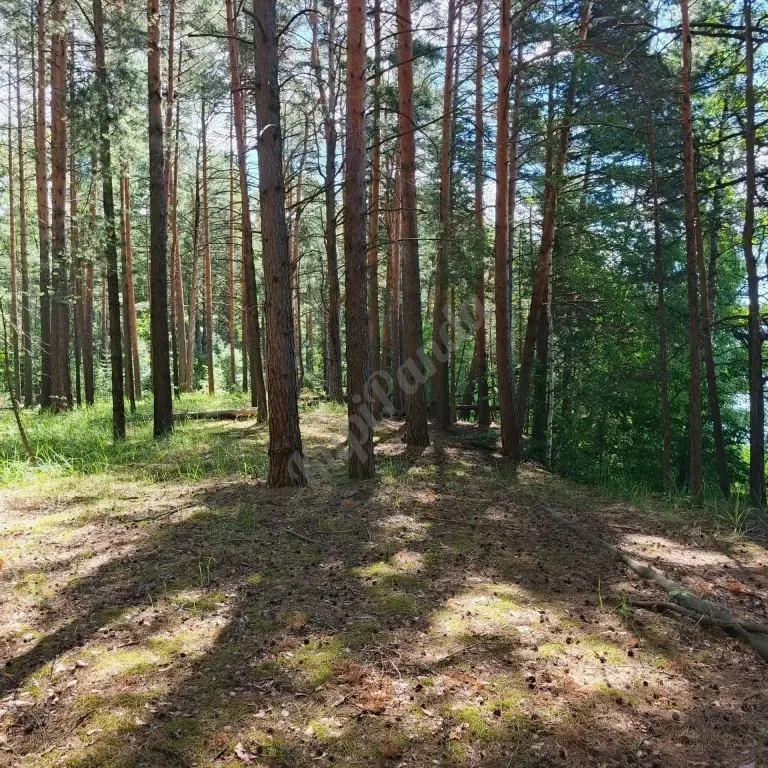 Участок для строительства турбазы, охотхозяйства, рыболовный клуб, глемпинга,