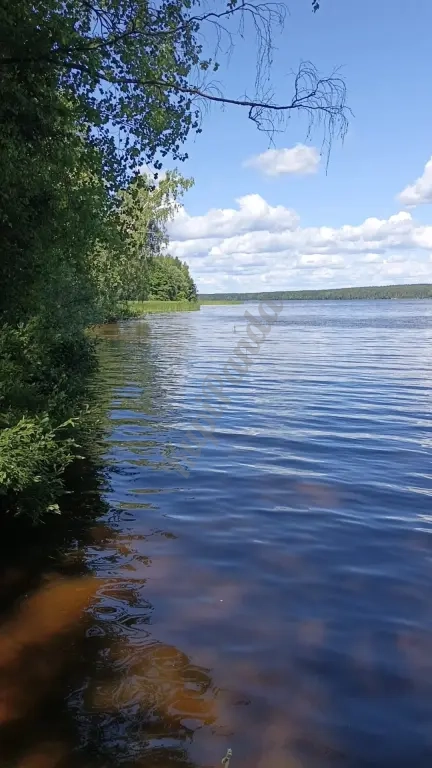 Участок для строительства турбазы, охотхозяйства, рыболовный клуб, глемпинга,