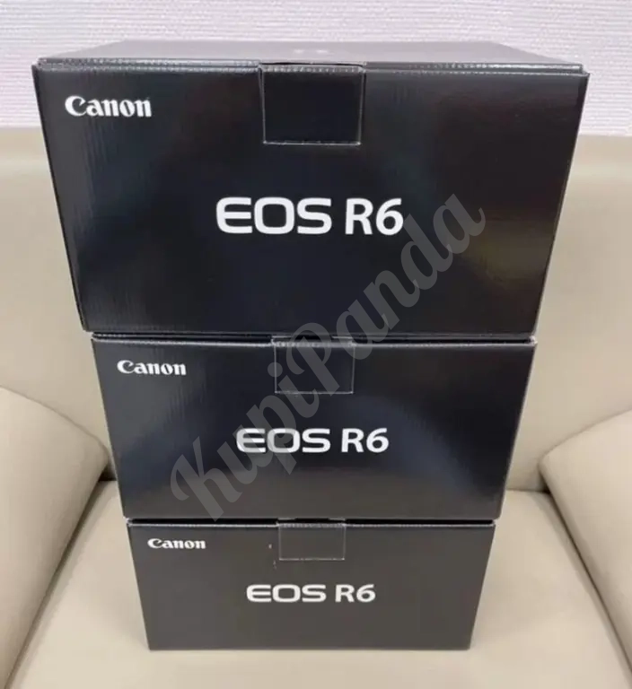 Беззеркальный фотоаппарат Canon EOS R6 body