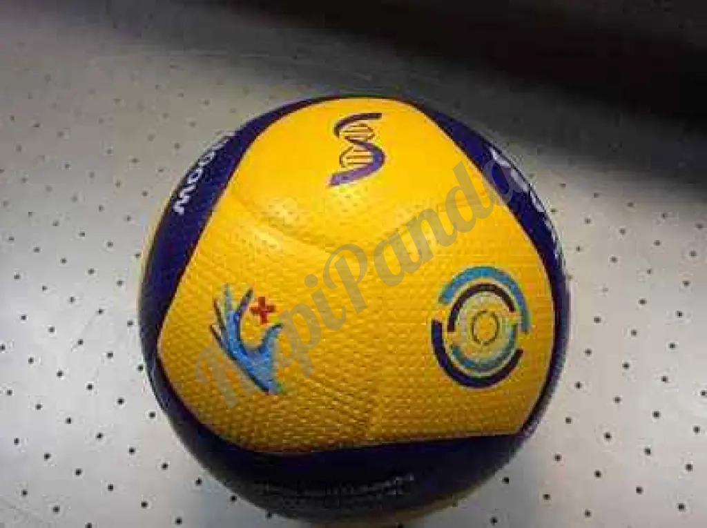 Нанесение логотипа и брендирование спортивной продукции