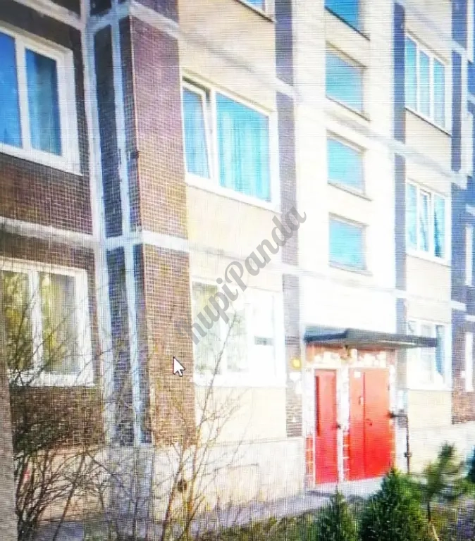 В продаже светлая трешка