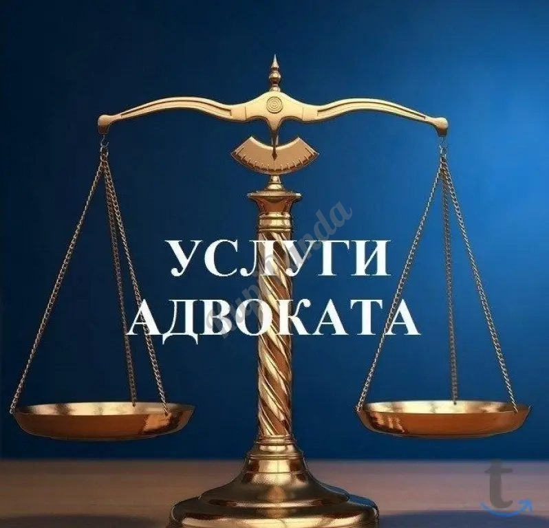 Защита граждан и организаций в суде